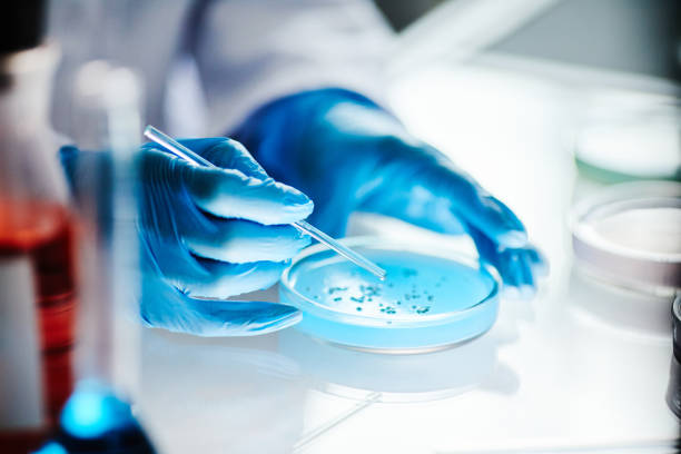 Xinjiang Zhongtai Henghui Medical Materials Co., Ltd.